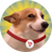sundog